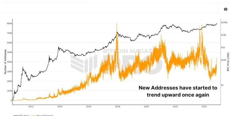 Are Retail Buyers Behind The Bitcoin Worth Surge This Bull Run?