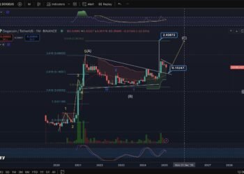 Dogecoin Prepared For A $2.43 Rally? Elliott Wave Says Sure