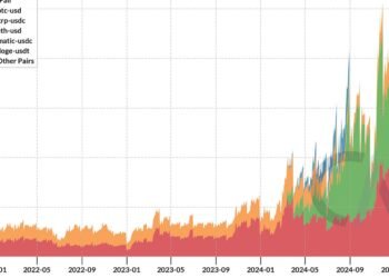 Exploring Crypto Market Dynamics via Choices Knowledge