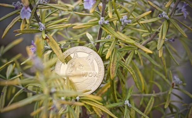 Analyst Units $5 Goal For The Dogecoin Value If This Occurs