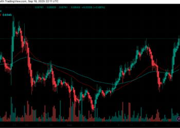 DYDX Worth Outlook as dYdX Basis Unveils Protocol Efficiency and 2026 Roadmap