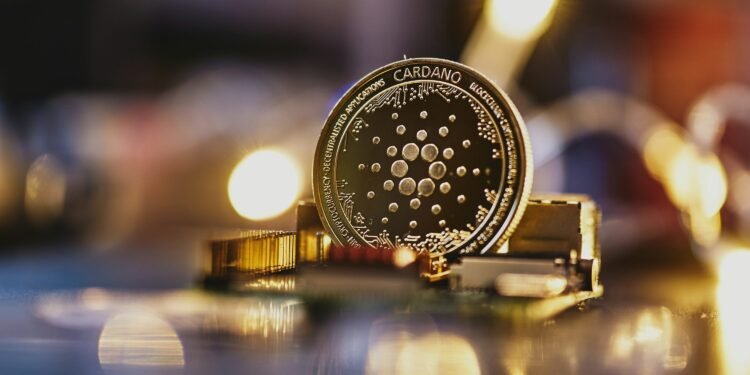 Cardano Institutional Wave: Large Cash Pours Into ADA Amid Surging Blockchain Adoption