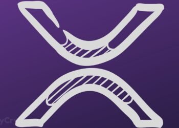 Professional On Why ETFs Alone Can’t Ship Ripple’s XRP to $10 or $100 Valuation ⋆ ZyCrypto