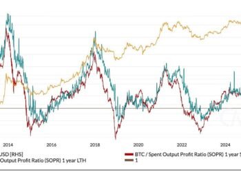 Making Sense of Bitcoin’s Altering Market Rythm